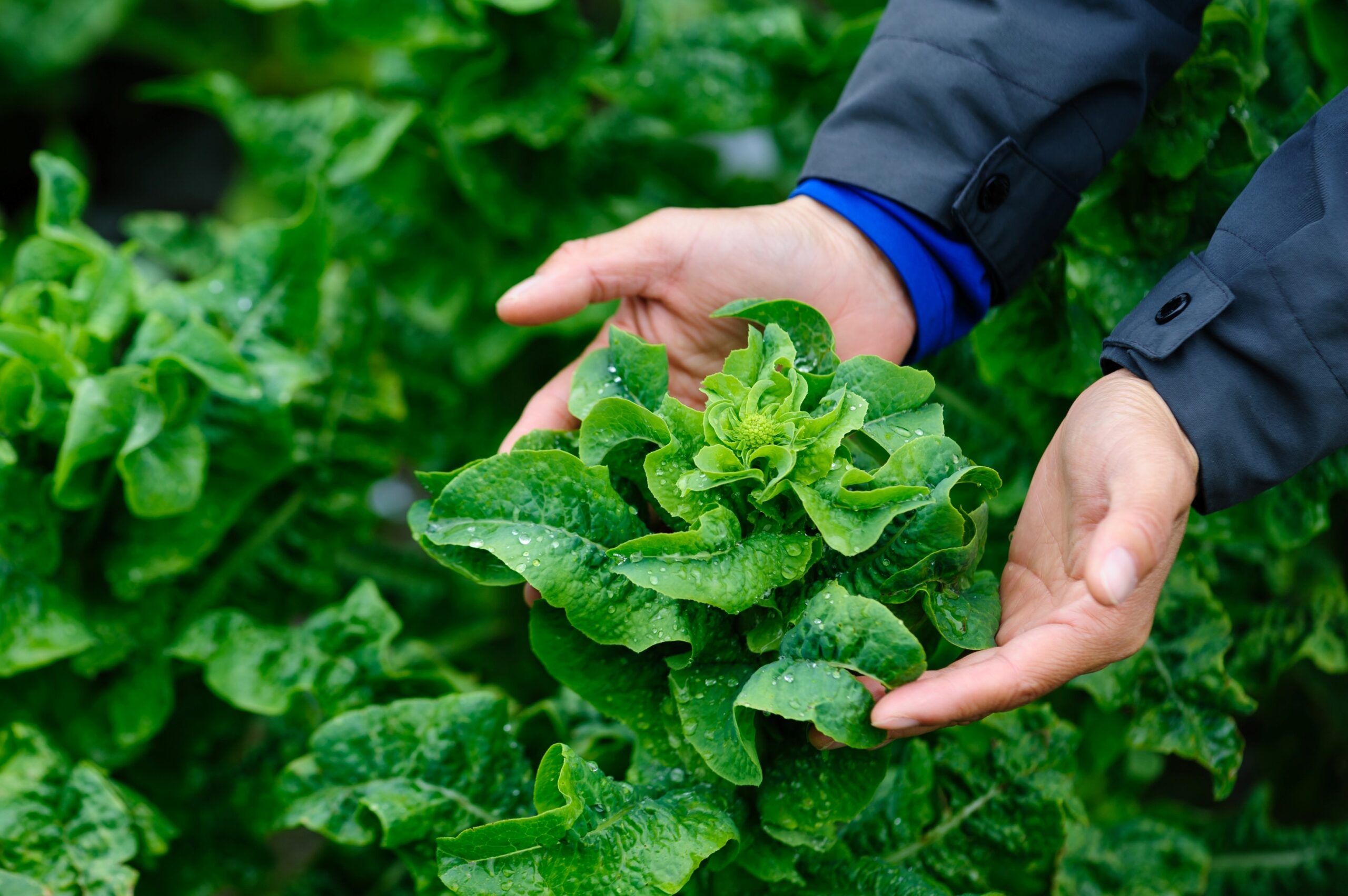 sustainability-metrics